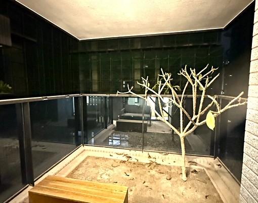 耳東陳美術白天鵝拎包住住兩房大陽台可寵物快來住精美裝潢 - Image 6