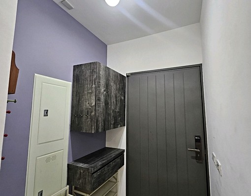 心安家茹啦啦台南高鐵特區晶悅地震不怕優雅兩房平車 - Image 10