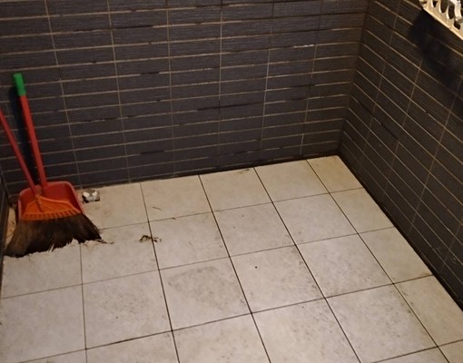 🥰可補/入戶籍/可貓/垃圾集中/草漯學區/好停車/可家💞 - Image 5