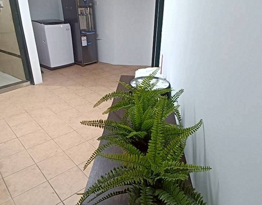 (可公廟教會倉庫大優惠)現況出租整棟透天 - Thumbnail 4