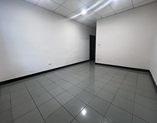 [小鈞租屋優選好房]可租補/寵物友善/整棟透天大四房/ - Image 11