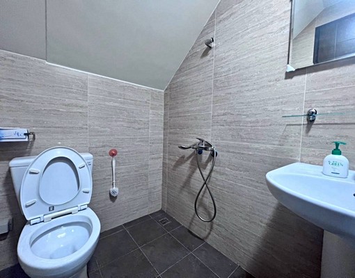 🦁新光田👑臨路車庫孝親別墅 - Image 4