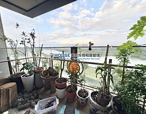 🌟高檔裝潢❤️外商首選❤️超美社區❤️ - Image 8