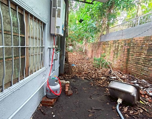 可寵狗貓🎉鰲峰山公園🎉清水網紅拍照區🎉停車超方便 - Image 10