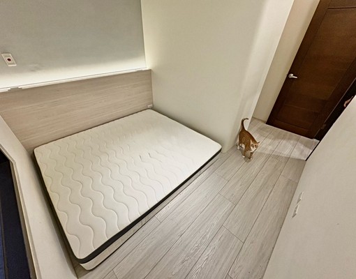 🐿️東區|可寵✅可租補✅溫馨宅🏠2+1房2廳2衛含車位 - Image 8