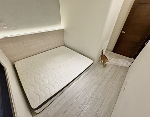 🐾林維湖悅🐶可寵💰可雙租補🗄️系統櫃✨全新裝潢 - Image 8