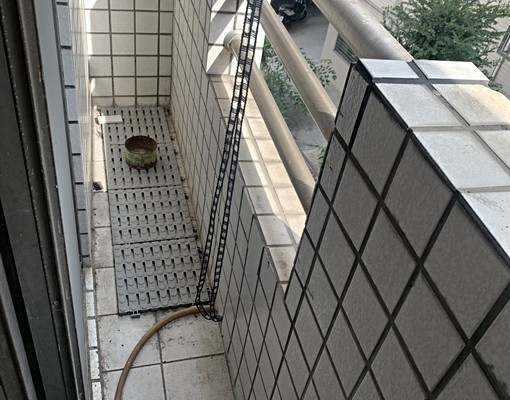 意志力|近興大套房🐱可貓🌼可租補🌼免仲介費 - Image 5