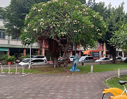 5樓,三信家商後面,近捷運新冷氣,重新油漆,近輕軌近公園 - Image 4