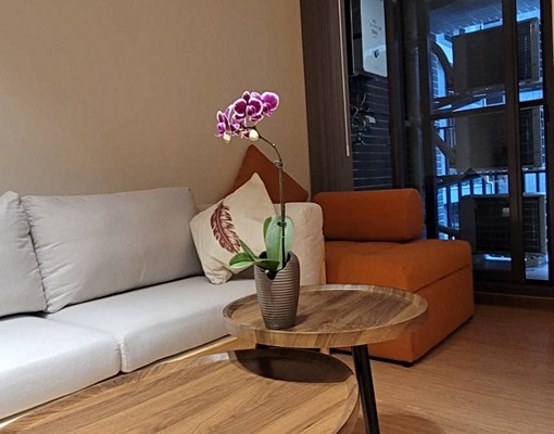 專任🪴這個月底簽定特16000🪴侘寂美學兩房花園戶 - Image 9