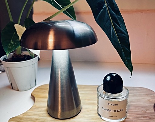 房東自租仲介勿擾電費1元獨立門牌代收垃圾可寵8樓高樓陽台 - Image 11