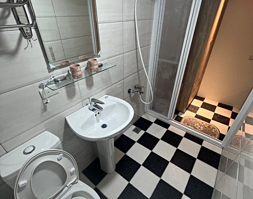 近平鎮聯新醫院💯可寵💯可補可入戶籍💯優質套房 - Image 5