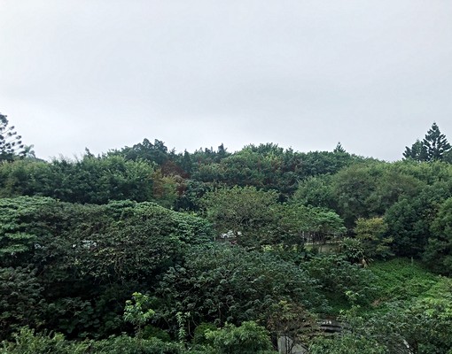 獨家專租|台北灣綠意盎然景觀兩房 - Image 2