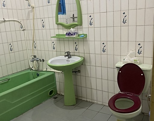 鳳林鎮大雅房出租/整層出租/短期出租/長期出租/日租 - Image 4