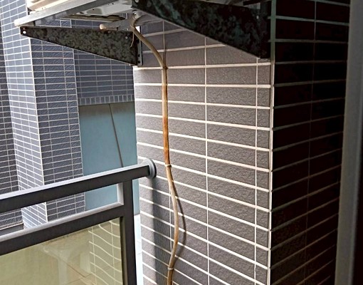 ❤稀有漂亮兩大房雙機車位❤✨ - Image 8