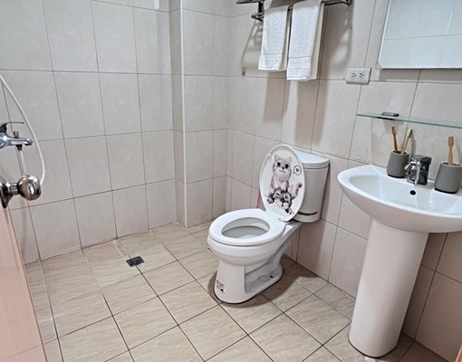 ✨可寵近大里工業區超大類一房一廳獨洗獨立陽台✨ - Image 4