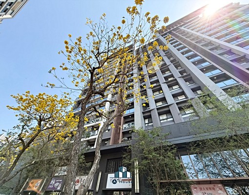 尼爾森精選💥美樂地💥精裝兩房💥可租補💥可貓💥平車 - Image 4