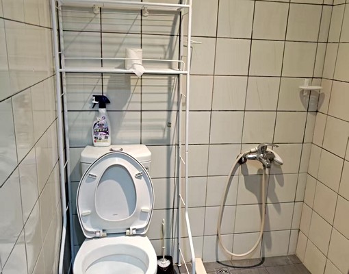 大湖神奇整層住家電梯華廈 - Image 15