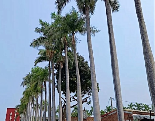 🍎全新1樓靜巷住宅~近文化中心鄰巴克禮 - Image 9