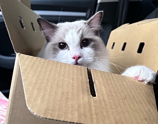 大舜🏙️大樓專家－ＣＰ最高～２房２衛～可雙車～含車管租補～ - Image 1