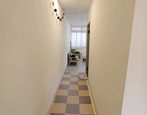 理想住所🌺三和國中站🌺仁愛街🌺2房2廳 - Image 4