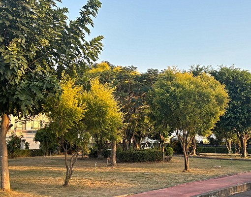 貝森多夫二庭園住宿 - Image 4