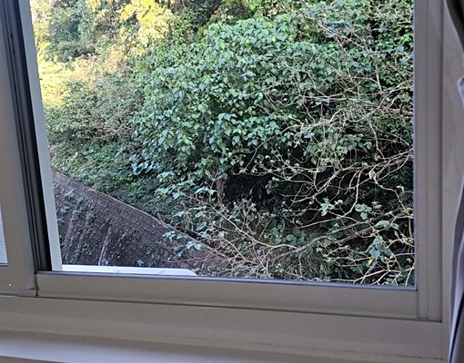 忠三街寧靜套房 - Image 9