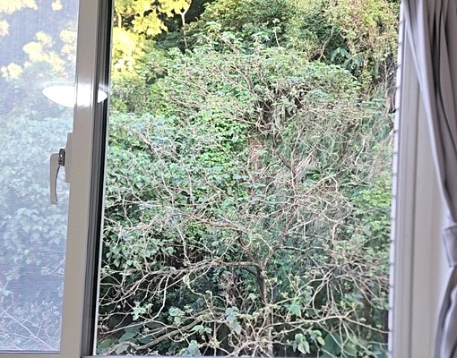 忠三街寧靜套房 - Image 11