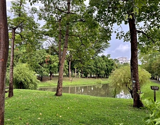 東區文化中心巴克禮公園三房出租 - Image 4