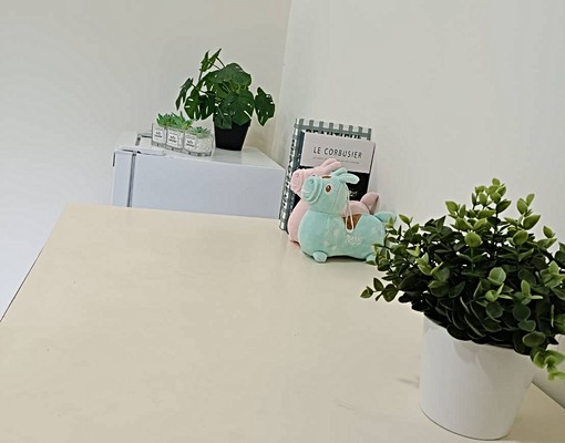 🏠公寓獨套〖可租捕〗,生活機能良好 - Image 12