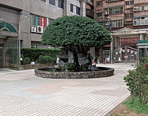 ✨中庭一樓✨全新裝璜 - Image 3