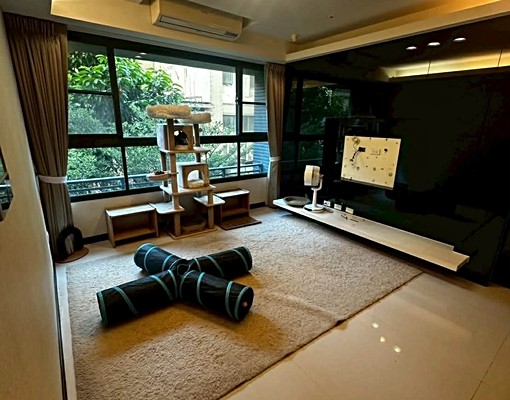 🐱3房平車可貓🐱西屯中科/世紀凱悅 - Image 1