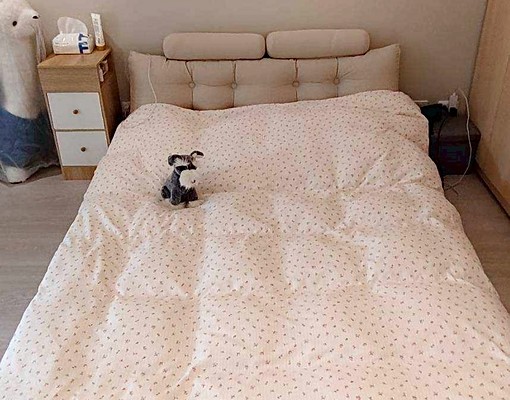 沙鹿致富商學院｜可寵可租補・生活機能到位套房 - Image 3