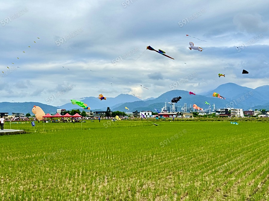 春日禾NO.2環境圖