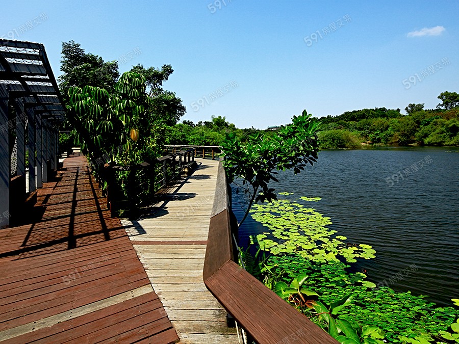 百立新仁美環境圖