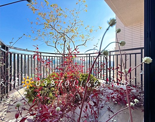 坐北朝南|享受都市配套|瀋陽路一段 - Image 5