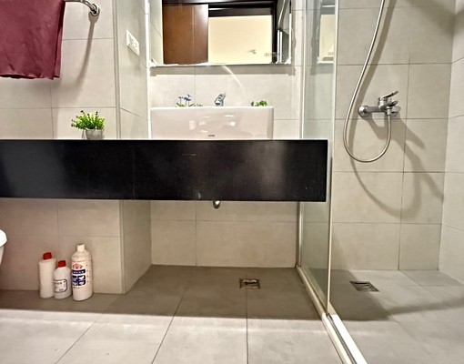 ✨新莊體運館丨綠意公園丨寵物友善⭐️小碩⭐️ - Image 13