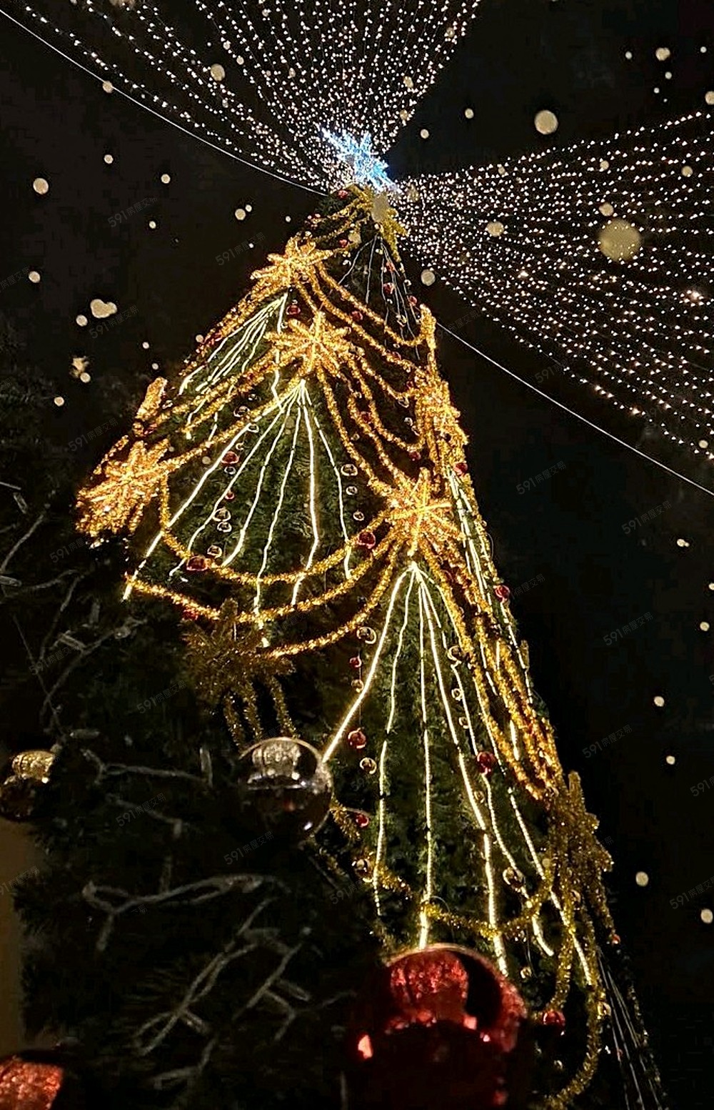 中央公園耶誕裝飾