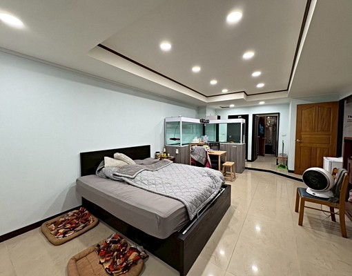 頂埔🏠可租補報稅可寵/裝潢新格局方正/傢俱齊全台電計價/ - Image 3