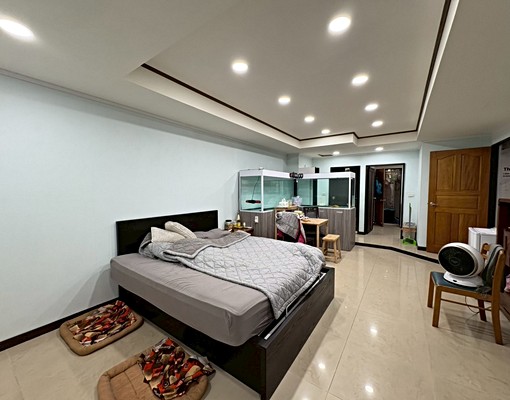 頂埔❣️可寵租補稅~2房獨立陽台洗曬~台電乾濕分離家具齊全 - Image 1