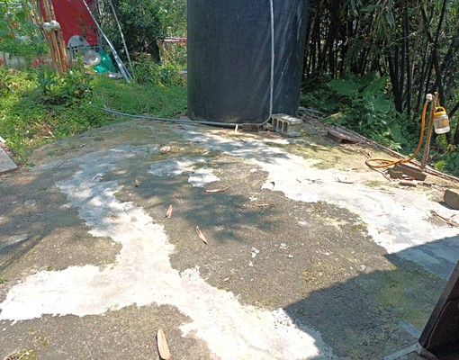 鳥語花香山頂上一樓小平房 - Image 10