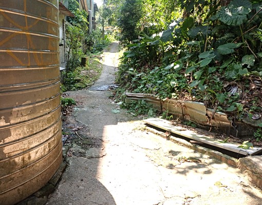 鳥語花香山頂上一樓小平房 - Image 11