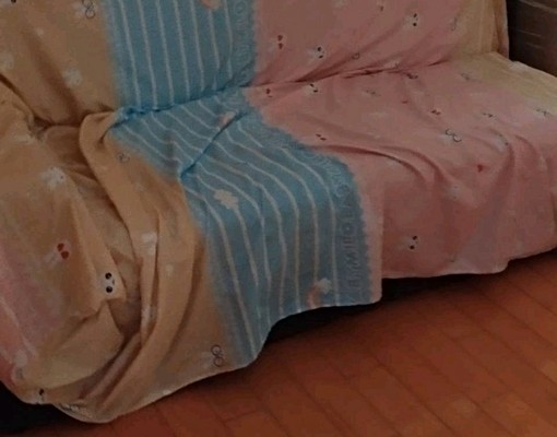 蘆洲-九芎街-電梯大樓,仲介勿擾 - Image 12