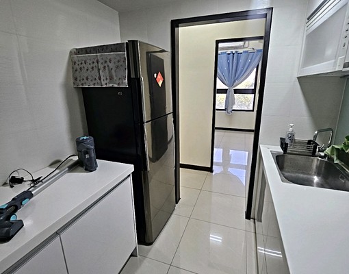 心安家茹啦啦高鐵特區地震我不怕三房平車 - Image 13