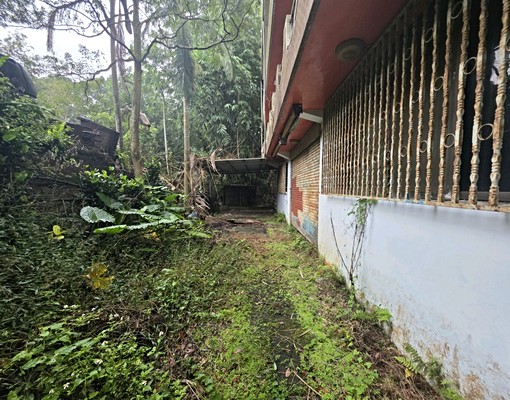 文山農場旁大透天(可倉儲.日照中心) - Image 3