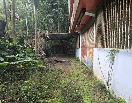 文山農場旁大透天(可倉儲.日照中心) - Image 5