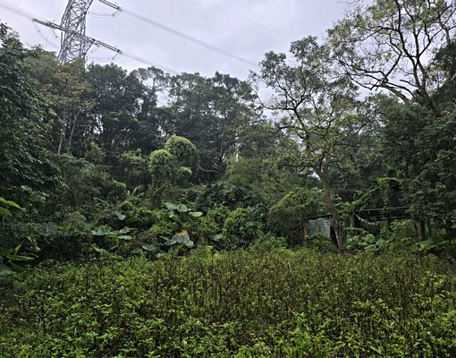 文山農場旁大透天(可倉儲.日照中心) - Image 8