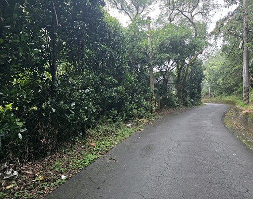 文山農場旁大透天(可倉儲.日照中心) - Image 11