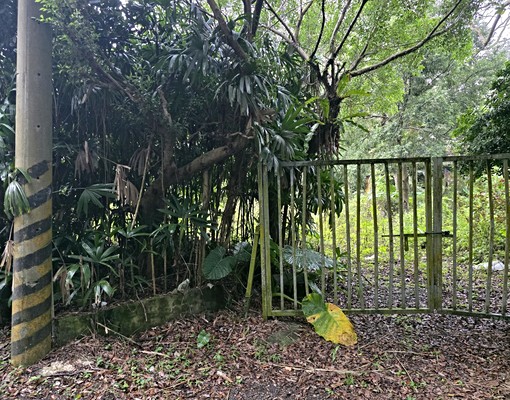 文山農場旁大透天(可倉儲.日照中心) - Image 12