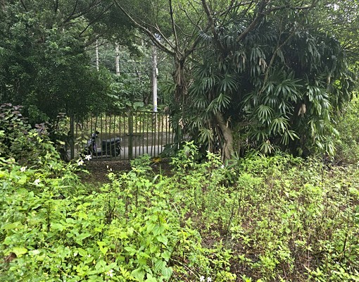 文山農場旁大透天(可倉儲.日照中心) - Image 13