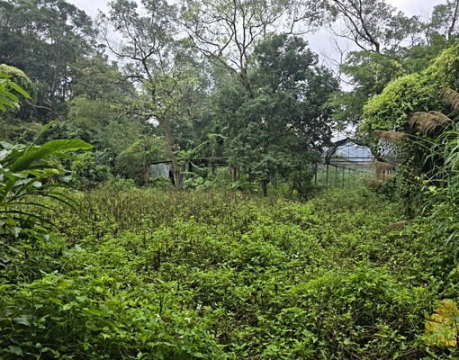 文山農場旁大透天(可倉儲.日照中心) - Image 14